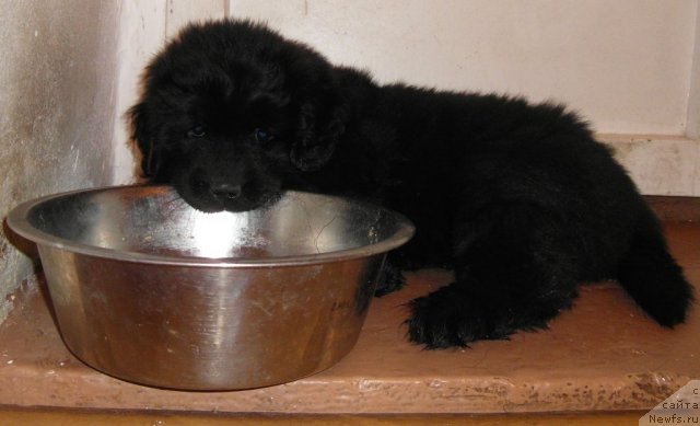 Фотография № 86524