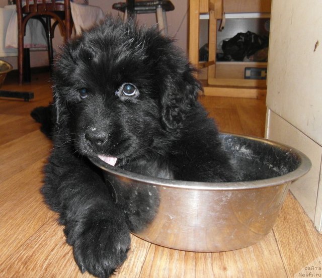 Фотография № 86527