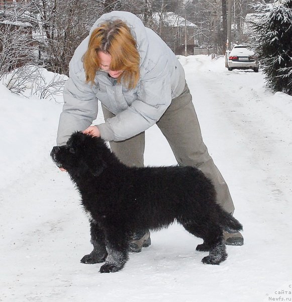 Фотография № 86561