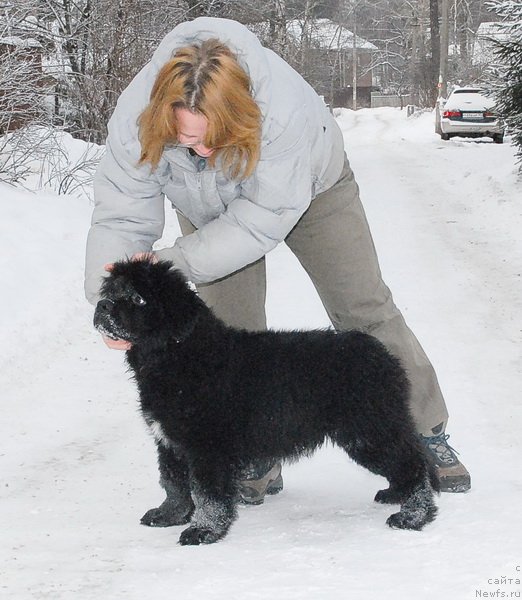 Фотография № 86562