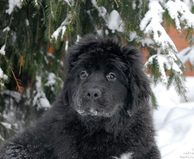 Фотография № 86565