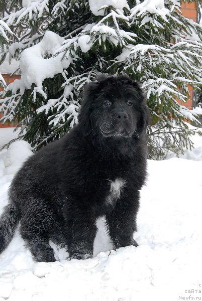 Фотография № 86567