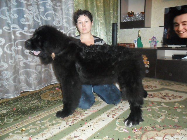 Фотография № 86574