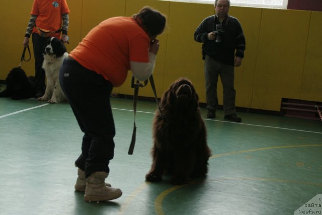 Фотография № 86616