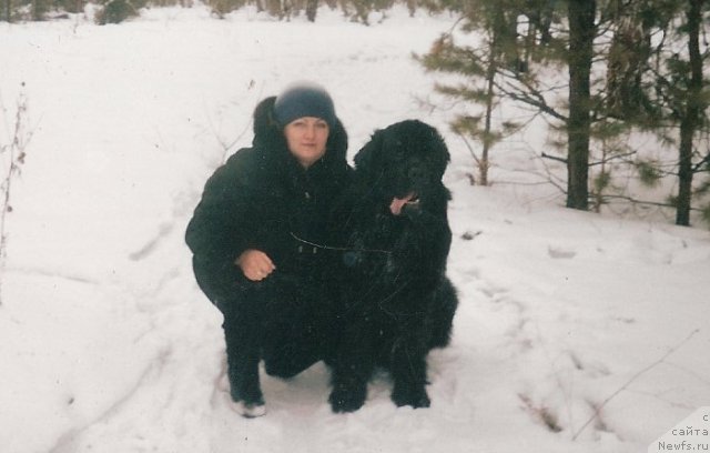 Фото: ньюфаундленд Carevich Imperii N'yuf ot Marleon Dusvik (Царевич Империи Ньюф от Марлеон Дусвик), Tat'yana SHayduk (Татьяна Шайдук)