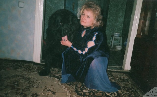 Фото: ньюфаундленд Carevich Imperii N'yuf ot Marleon Dusvik (Царевич Империи Ньюф от Марлеон Дусвик), Tat'yana SHayduk (Татьяна Шайдук)