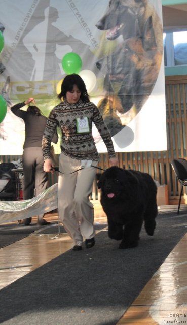 Фотография № 86663