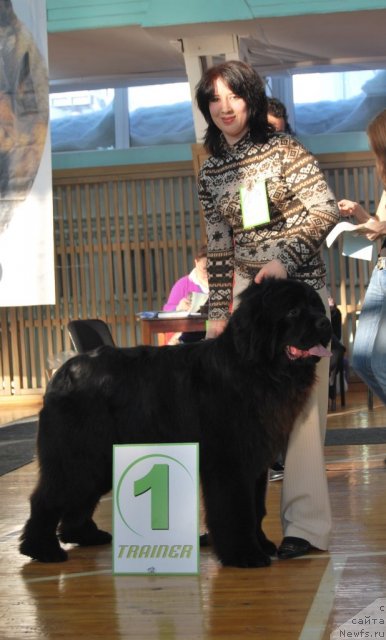 Фотография № 86666