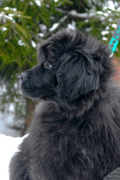 Фотография № 86677