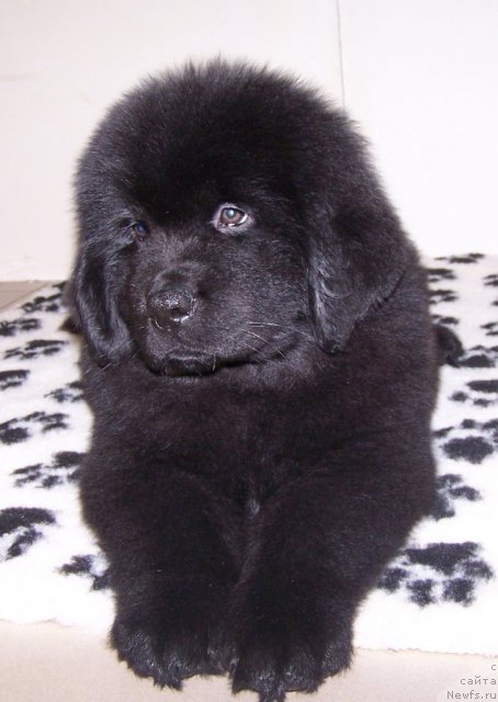 Фото: Акватория Келвин Тен Страйк