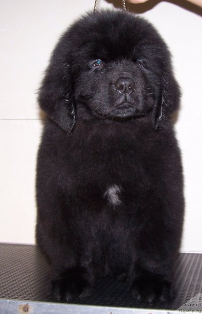 Фото: Акватория Келвин Тен Страйк