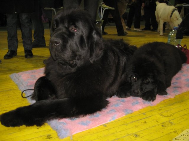 Фото: Svetlana Glagoleva (Светлана Глаголева)