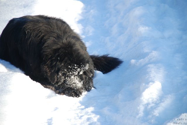 Фотография № 86895