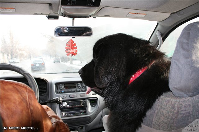 Фотография № 86909