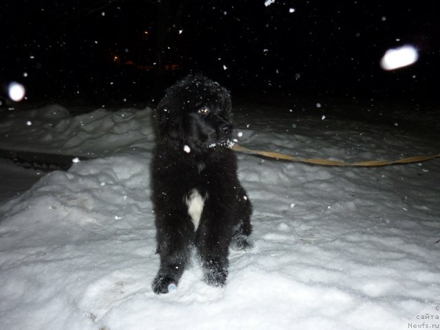 Фото: Sergey Krasnov (Сергей Краснов)