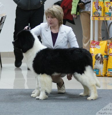 Фотография № 86942