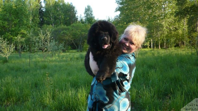 Фотография № 87033