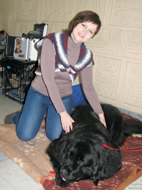 Фото: Anastasiya Marko (Анастасия Марко), ньюфаундленд CHudnaya Krasavica (Чудная Красавица)
