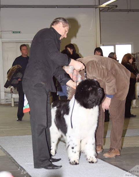 Фотография № 87109