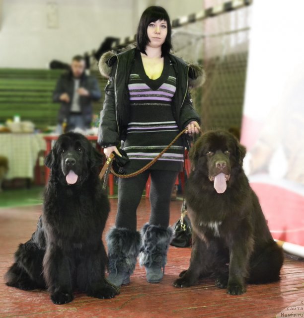 Фотография № 87118