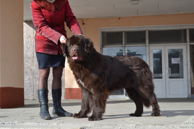 Фотография № 87119