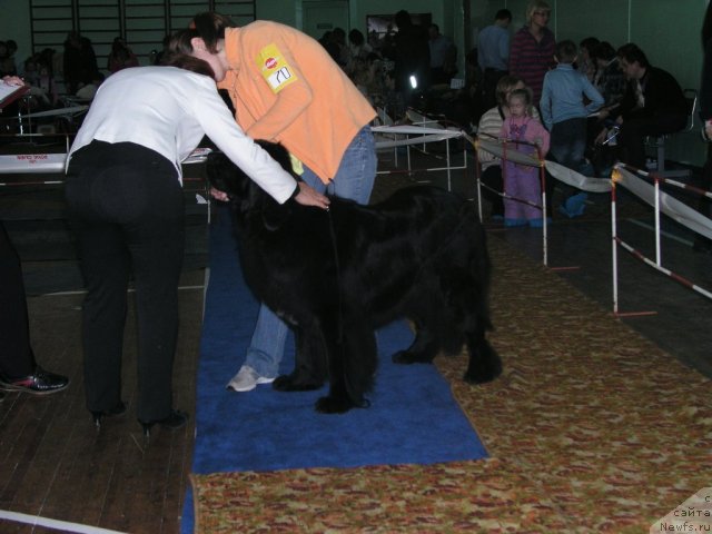 Фотография № 87125