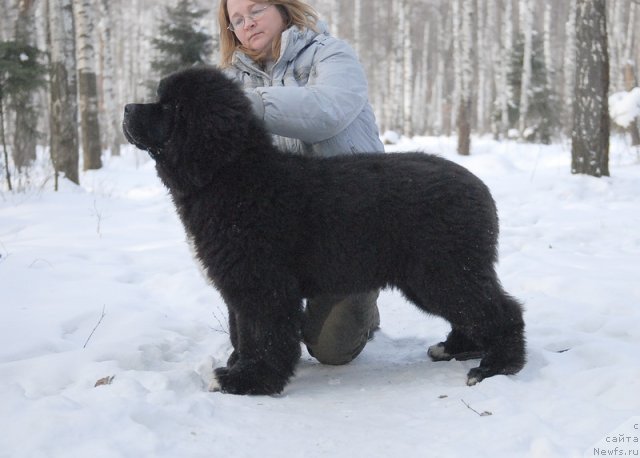 Фотография № 87134