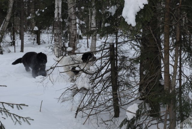 Фотография № 87140