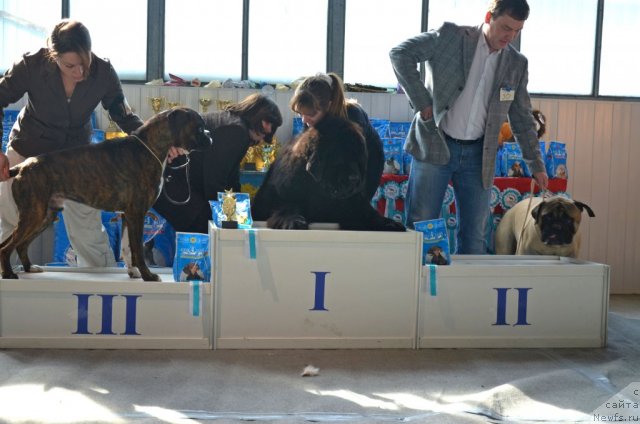 Фотография № 87143