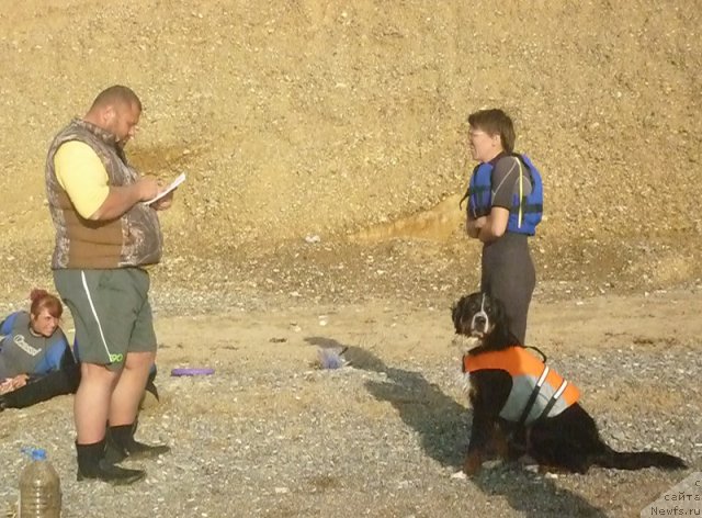 Фото: Evgeniya Agafoshina (Евгения Агафошина), берник ЭНИ