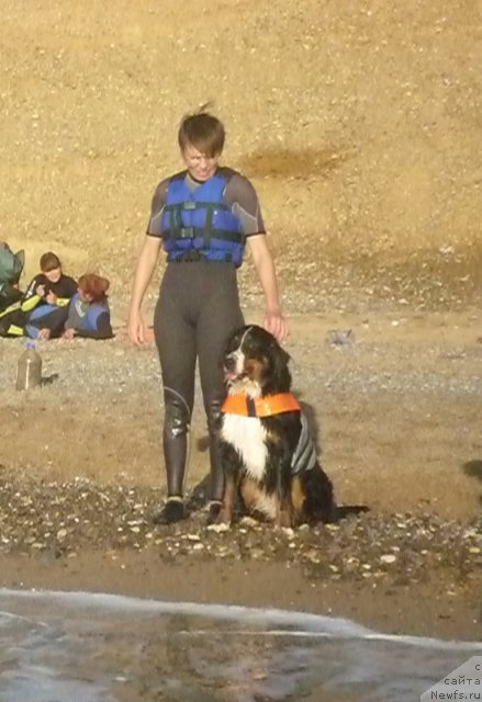 Фото: Evgeniya Agafoshina (Евгения Агафошина), берник ЭНИ