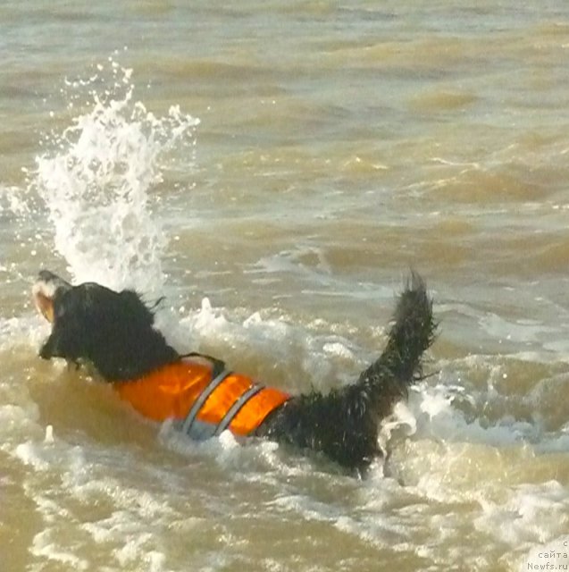 Фото: Evgeniya Agafoshina (Евгения Агафошина), берник ЭНИ