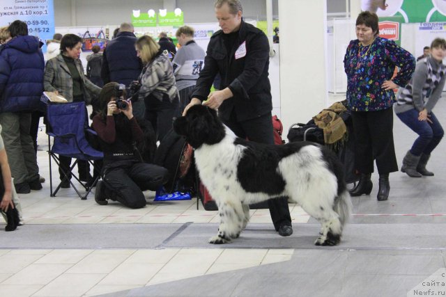 Фотография № 87172