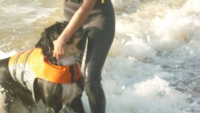 Фото: Evgeniya Agafoshina (Евгения Агафошина), берник ЭНИ