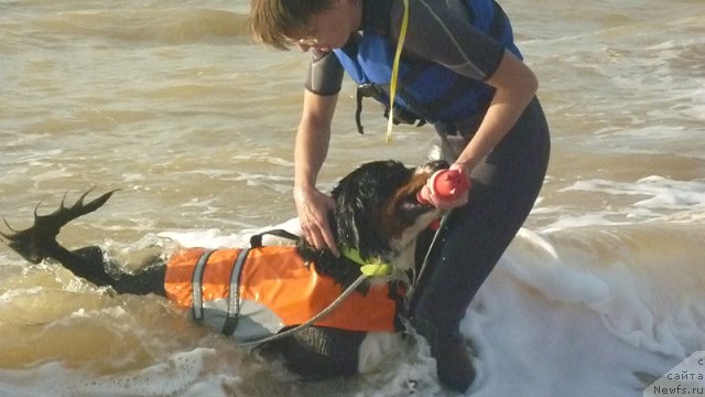 Фото: Evgeniya Agafoshina (Евгения Агафошина), берник ЭНИ
