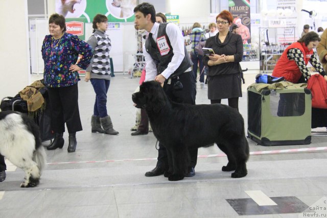 Фотография № 87176