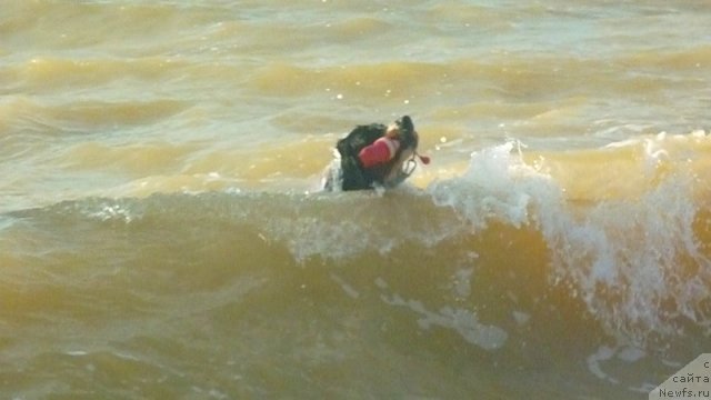 Фото: Evgeniya Agafoshina (Евгения Агафошина), берник ЭНИ