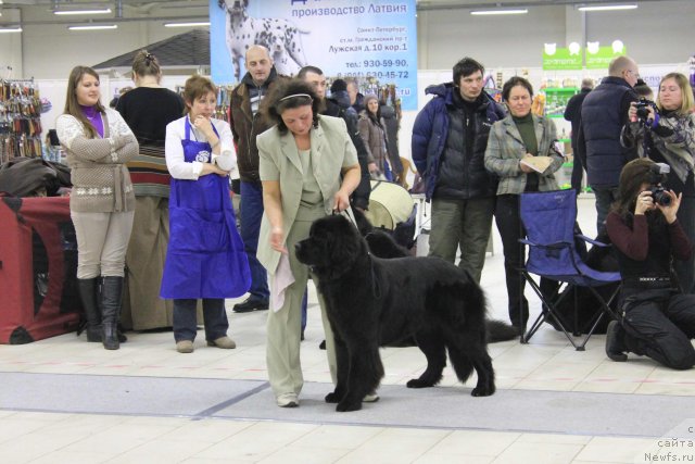 Фотография № 87178