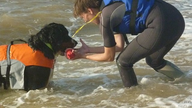 Фото: Evgeniya Agafoshina (Евгения Агафошина), берник ЭНИ