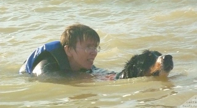 Фото: Evgeniya Agafoshina (Евгения Агафошина), берник ЭНИ