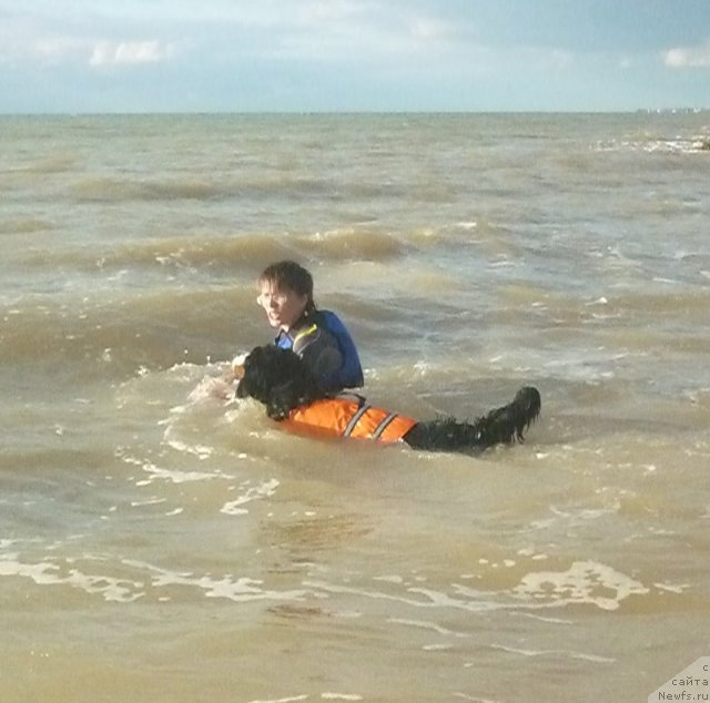 Фото: Evgeniya Agafoshina (Евгения Агафошина), берник ЭНИ