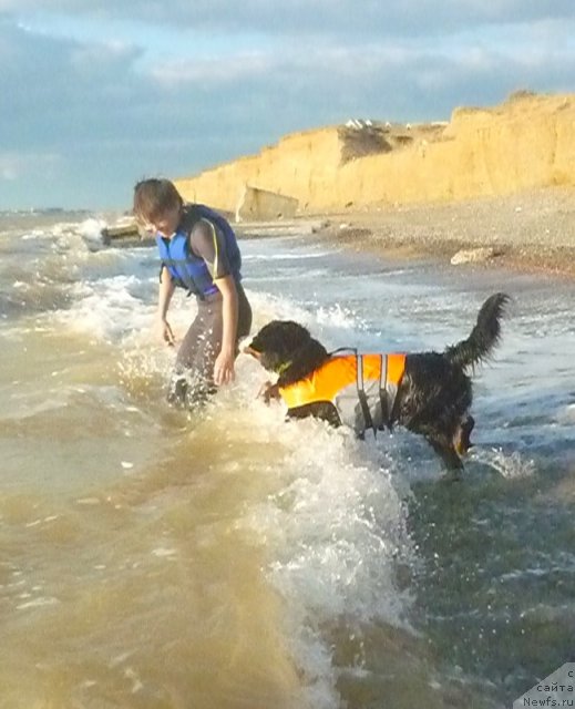 Фото: Evgeniya Agafoshina (Евгения Агафошина), берник ЭНИ