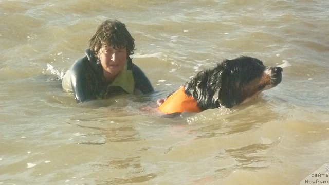 Фото: Nataliya Mihaylova (Наталия Михайлова), Evgeniya Agafoshina (Евгения Агафошина), берник ЭНИ