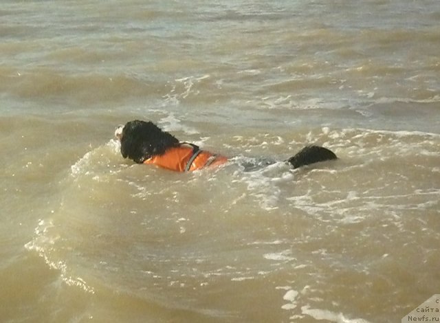 Фото: Evgeniya Agafoshina (Евгения Агафошина), берник ЭНИ