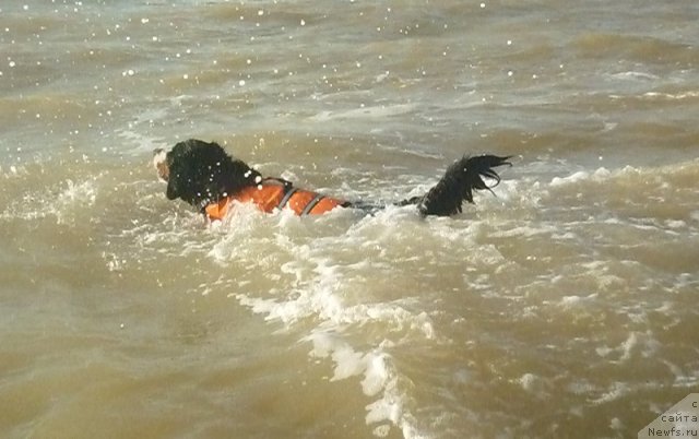 Фото: Evgeniya Agafoshina (Евгения Агафошина), берник ЭНИ