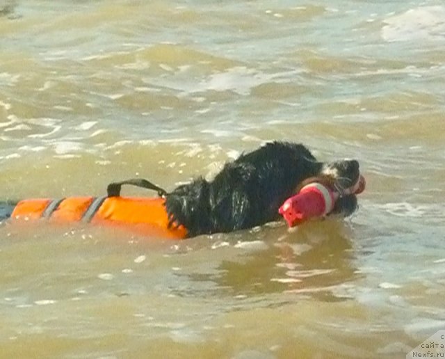 Фото: Evgeniya Agafoshina (Евгения Агафошина), берник ЭНИ