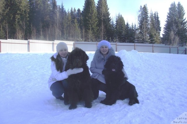 Фотография № 87243