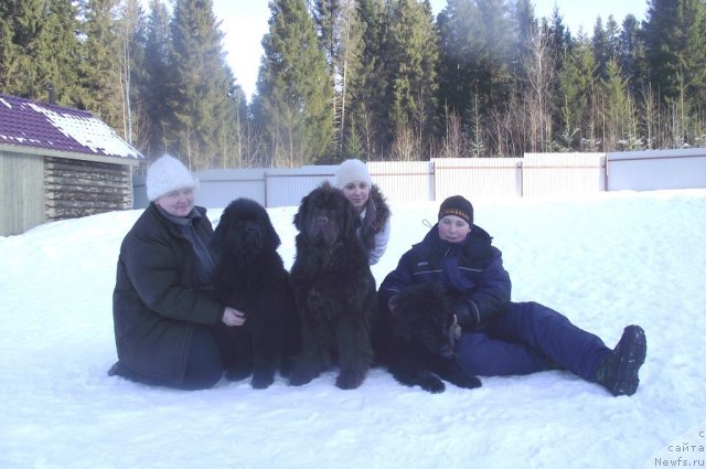 Фотография № 87244