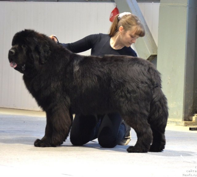 Фотография № 87270