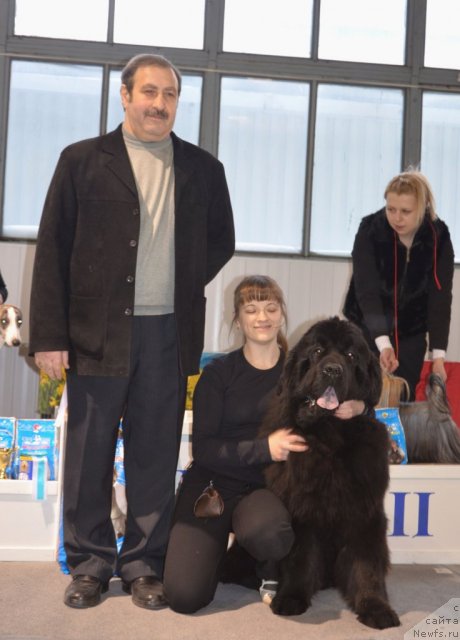 Фотография № 87271